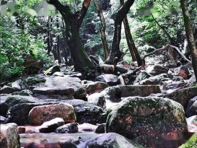 蓝狐视频
